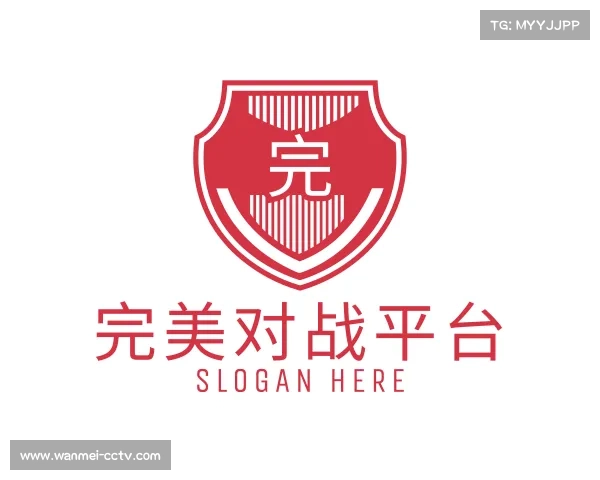 介绍完美对战平台